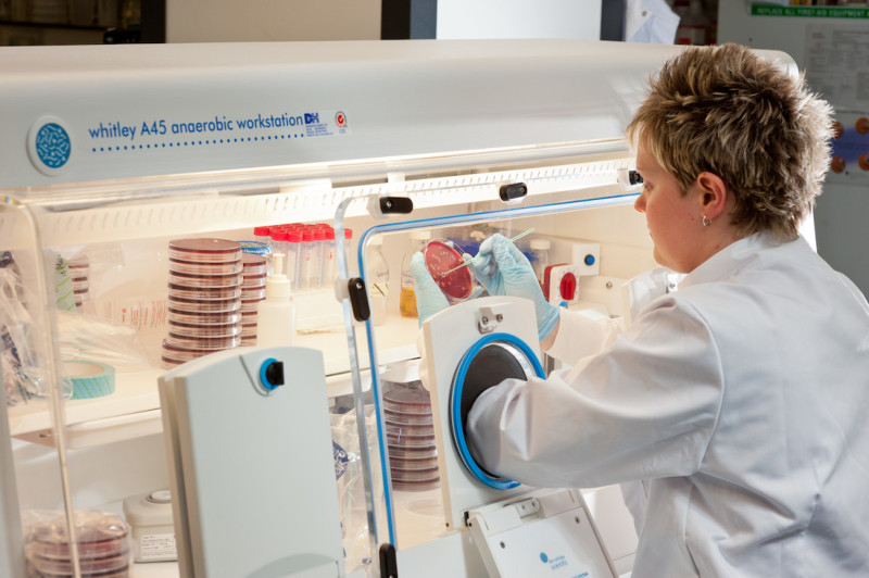 Food researcher using an anaerobic workstation