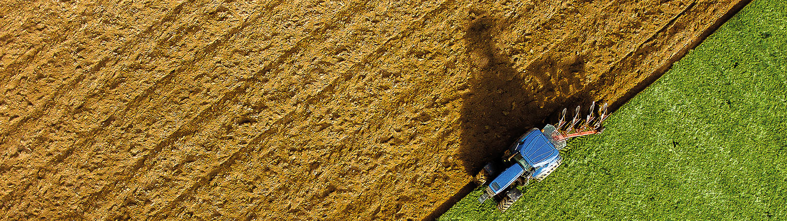 Tractor in a field