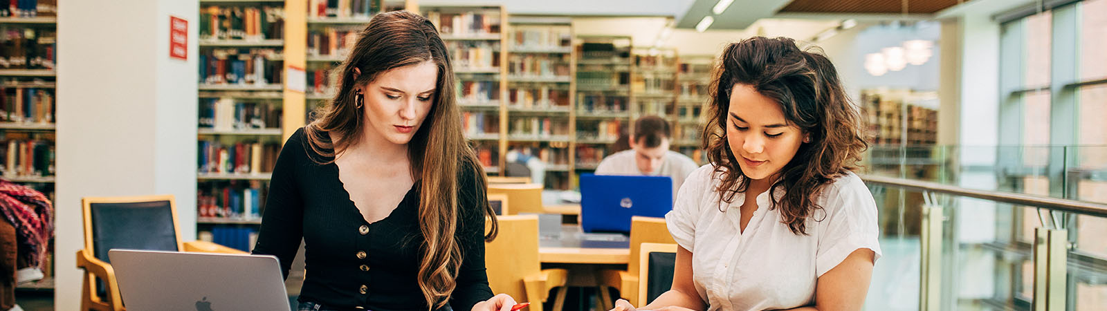 Students in the library