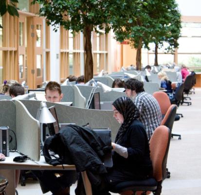 Students at PCs in McClay Library Atrium