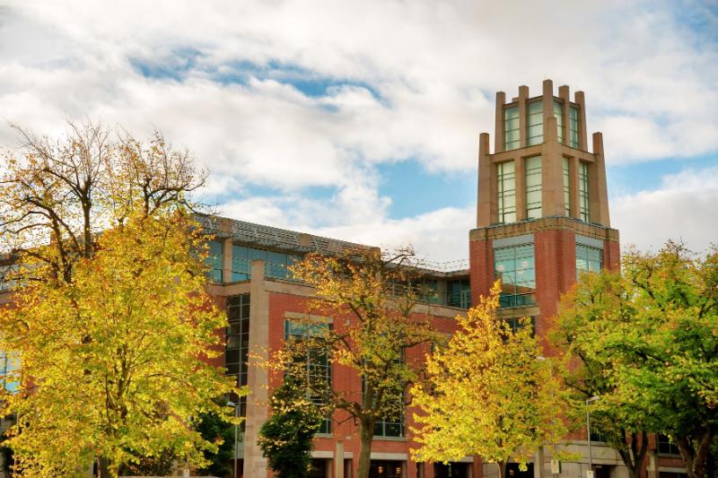 An image of McClay Library behind trees