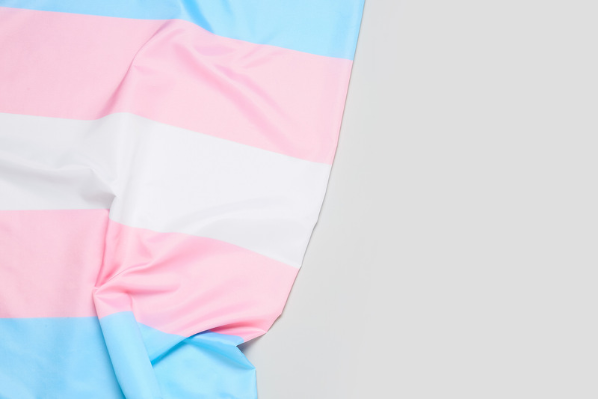 Image shows transgender flag on a grey background.
