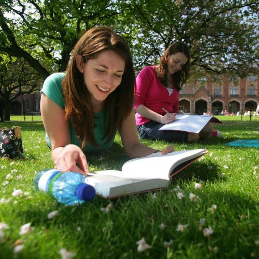 Student studying