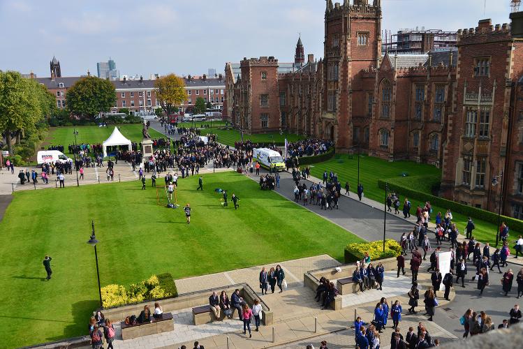 Grass outside Lanyon large