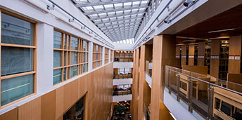 Inside McClay library