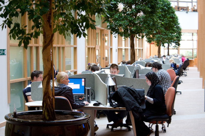 Students on computers in McClay atrium