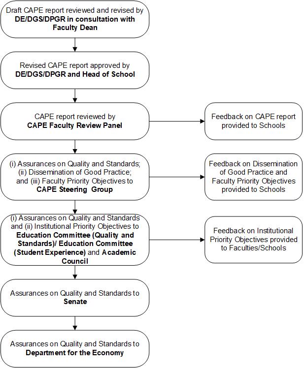 This image presents a flowchart outlining the main steps for CAPE Review.