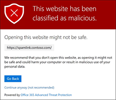 Malicious Site