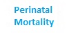 Rollover 3 Perinatal Morality