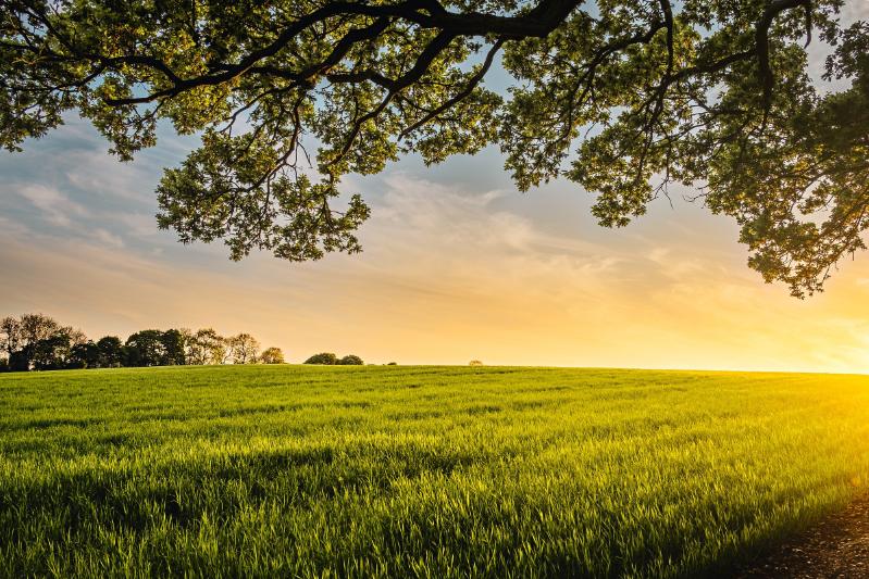 Image of Woodburn Green in England