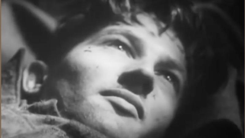 close up of a man