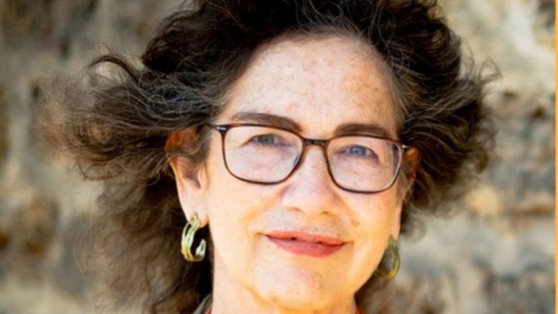 Professor Susan Neiman, Director, Einstein Forum