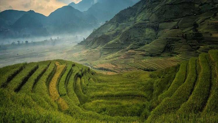 Archaeology landscape