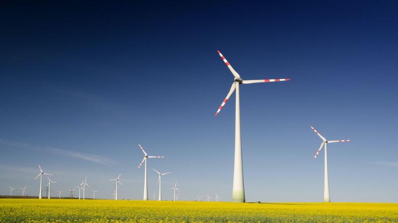 Wind turbines in field