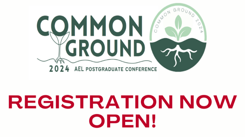 Common Ground poster