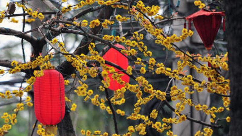 Chinese lanterns