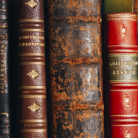D3_055_Library_3V