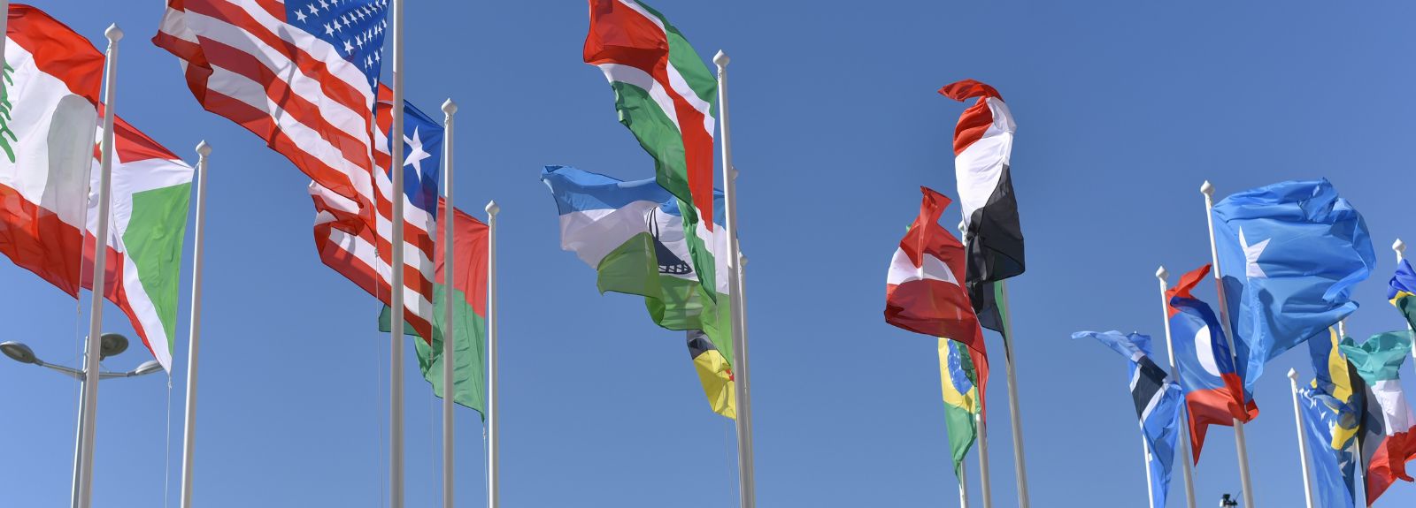 17 flags