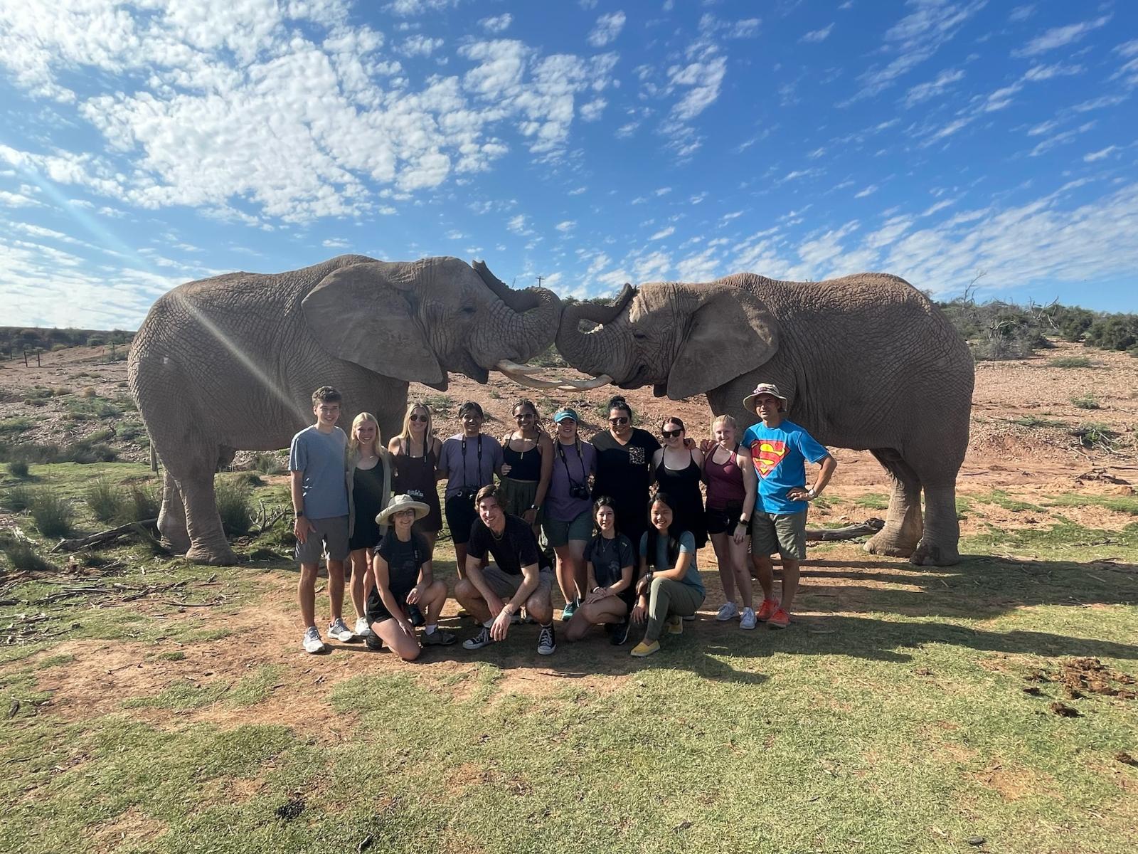 Elephant with students