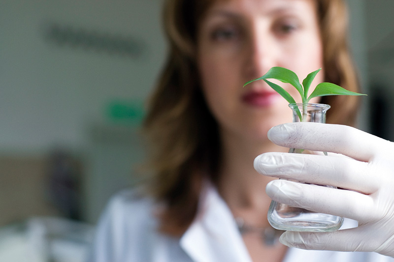 Biologist looking at a plant