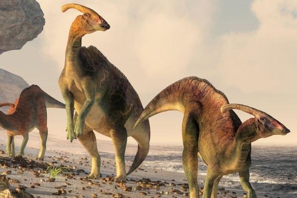 Dinosaurs