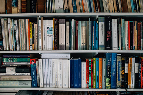 Book shelf full of books