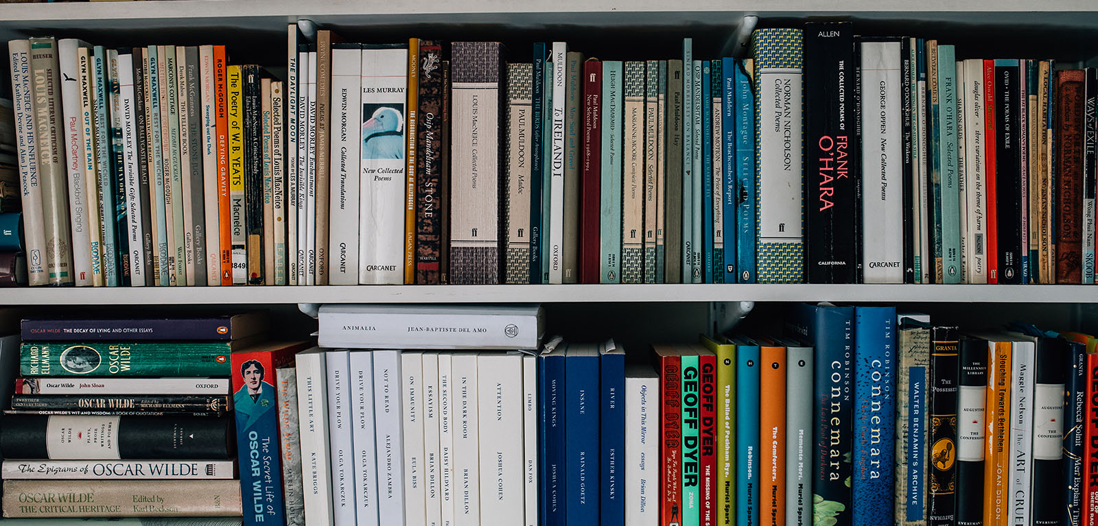 Book shelf full of books