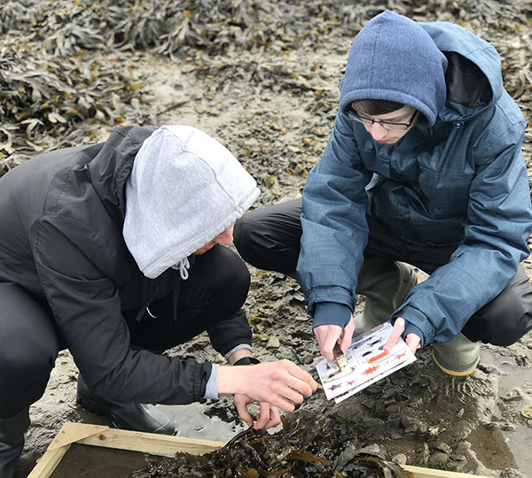 FD Ecology field trip to North Coast