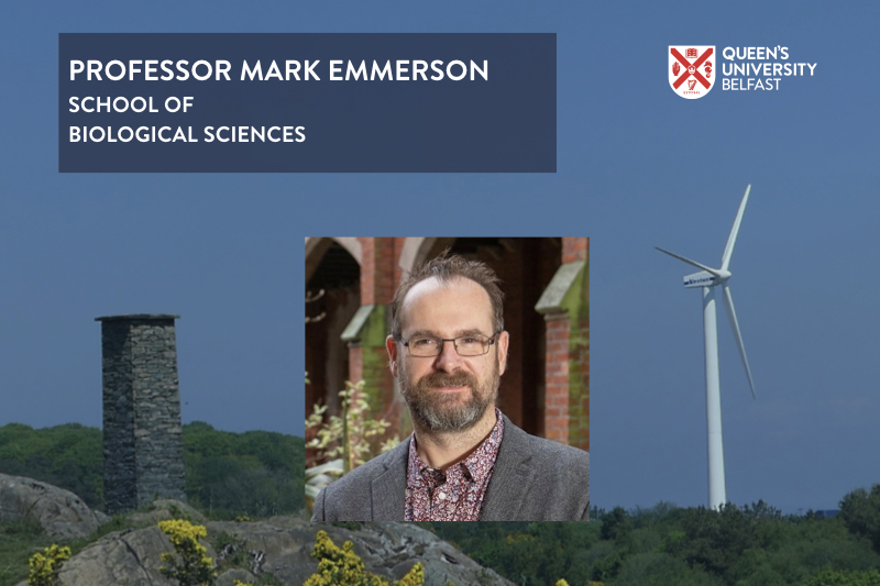 Professor Mark Emmerson title slide