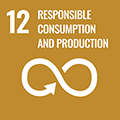 UN Goal 12 - Responsible consumption and production