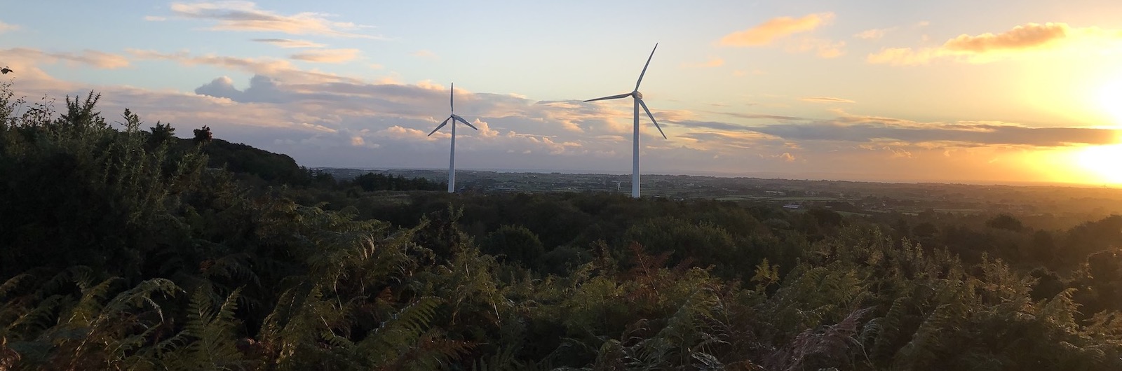 Wind turbines at sunrise, panoramic