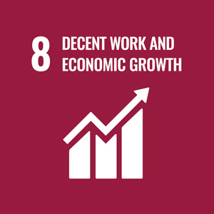 SDG Goal 8