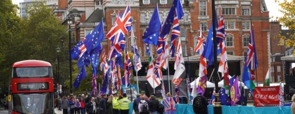 People protesting Brexit with flags
