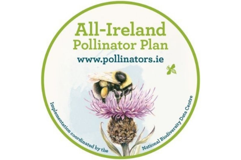 All-Ireland Pollinator plan logo