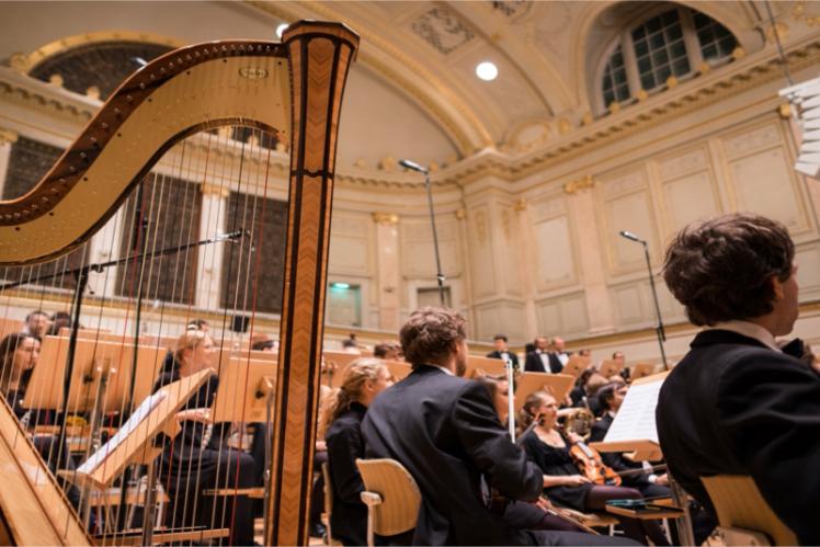 Harp at Crescendo Concert