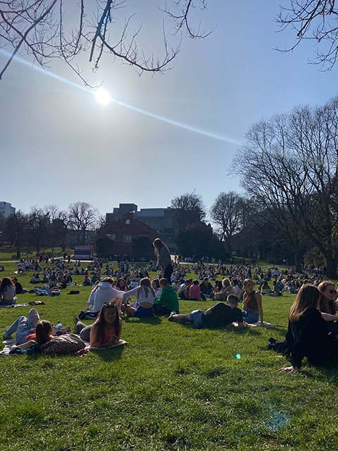 Botanic Gardens in the sun