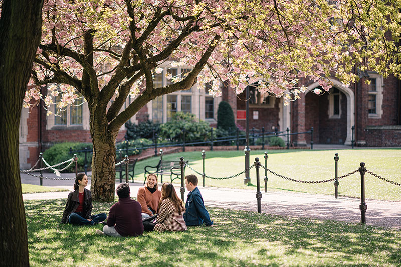 Students relaxing under the cherry blossom in the quad