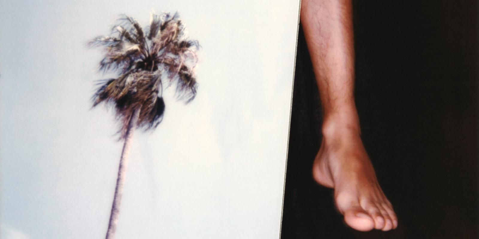 a polaroid photograph of a palm tree and a foot