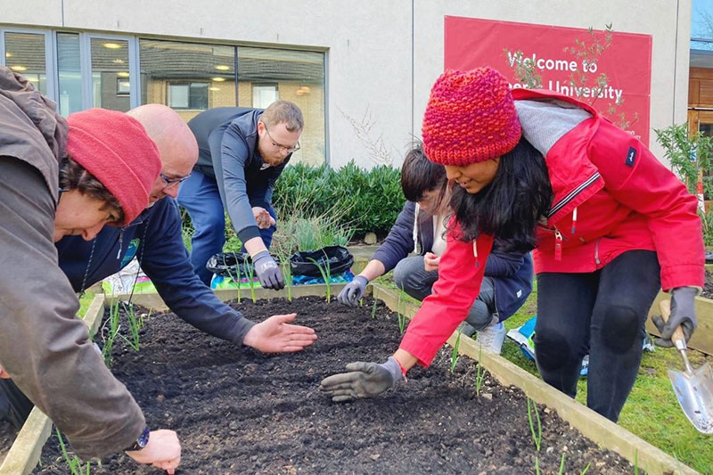 Studenst tending an allotment at Elms