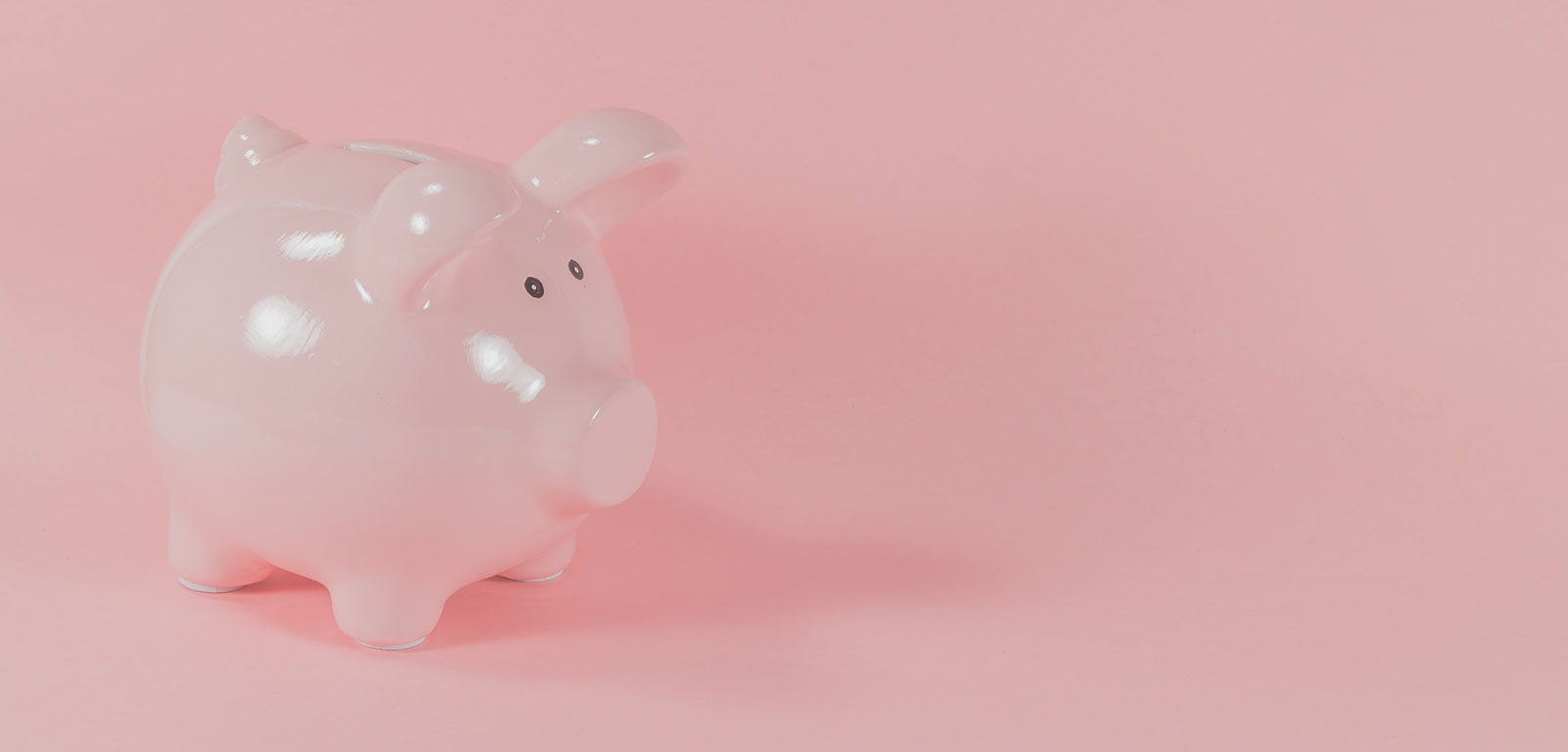 Pink piggy bank on a pink background