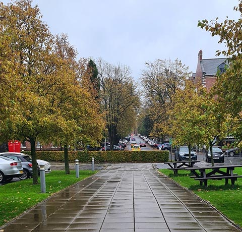 Wet street in Belfast