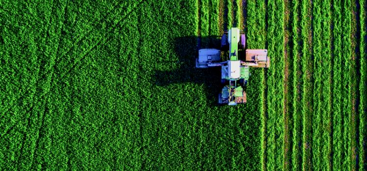 Tractor in a field