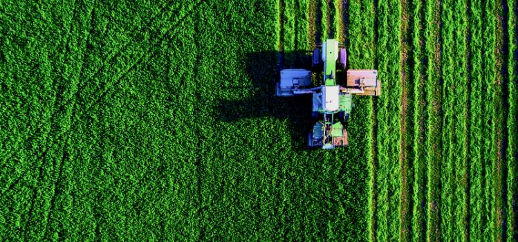 Tractor in a field