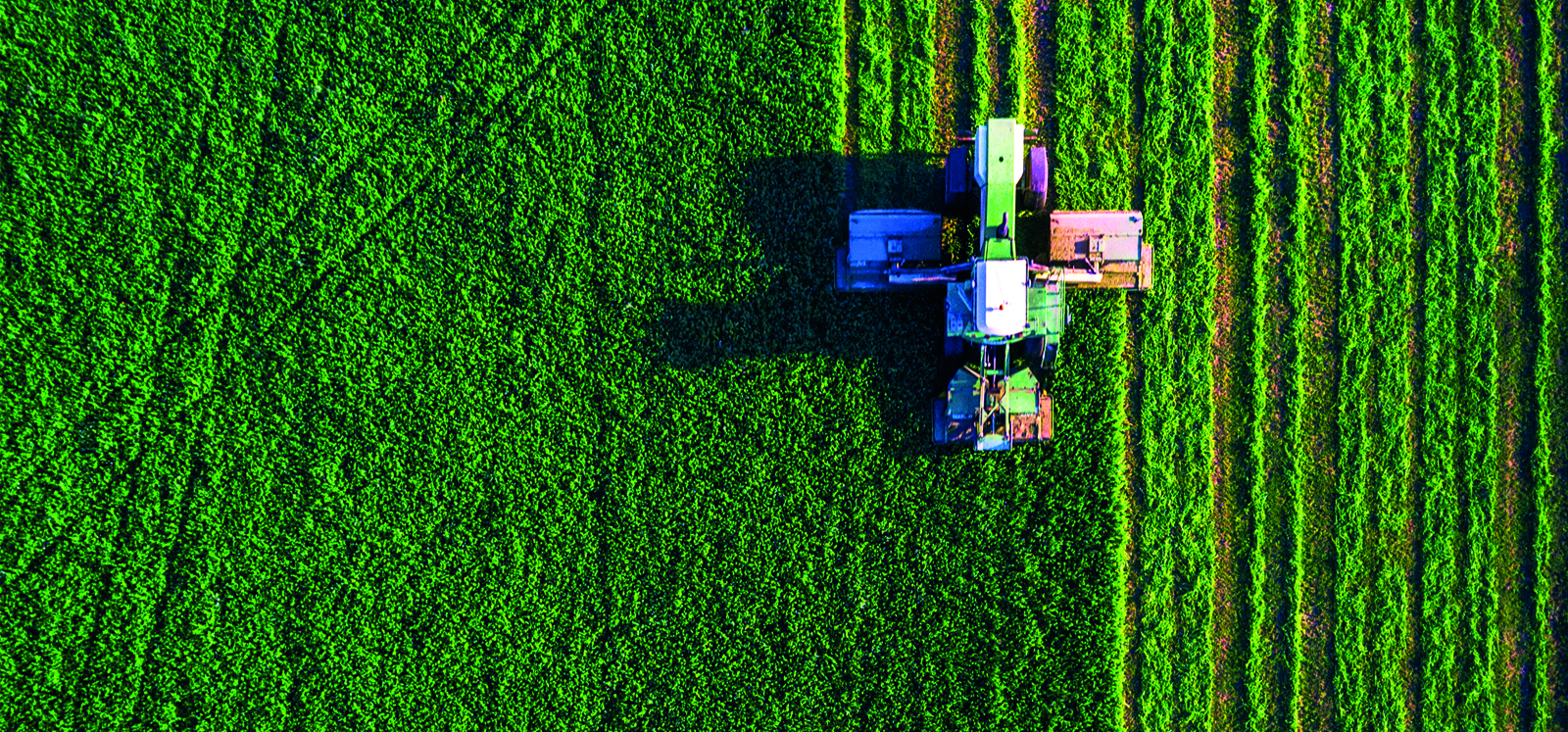 Tractor in a field