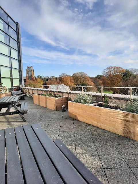 Rooftop terrace