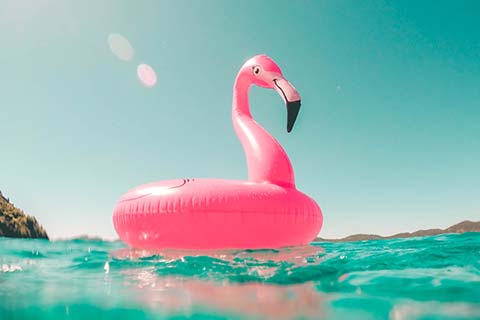 Blow up flamingo pool toy