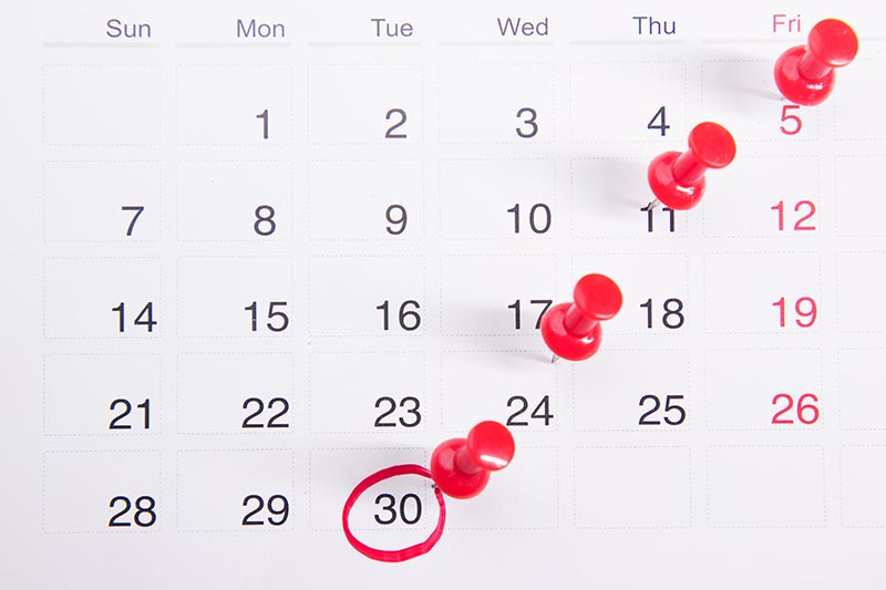 Calendar with red pins