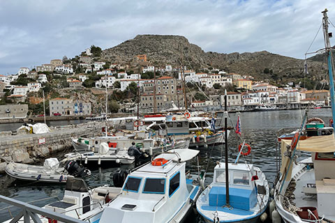 Boats in a harbour