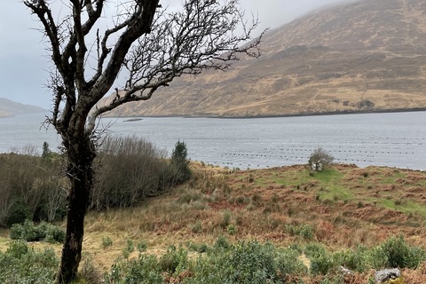 Galway landscape