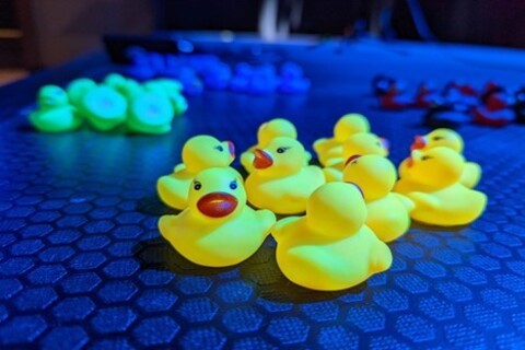 Collection of yellow rubber ducks